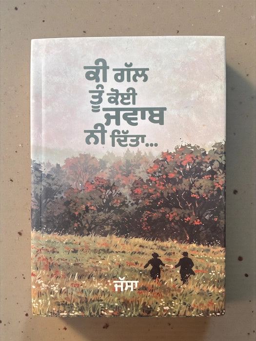 ki gall koi jawab nahi dita
